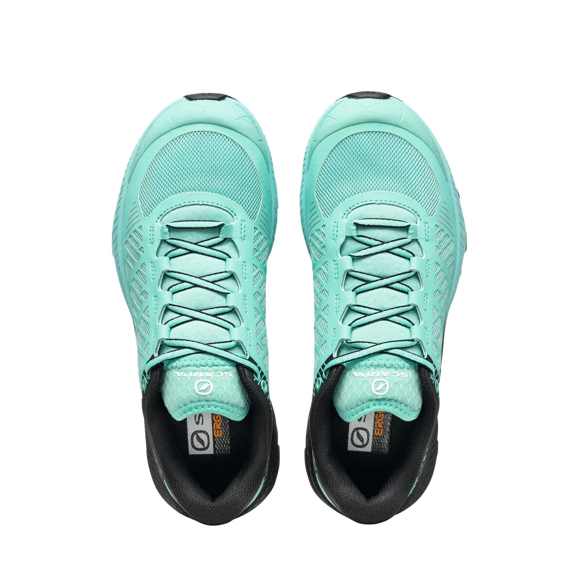 SPIN ULTRA WOMEN'S (FALL 2024) - Image 5